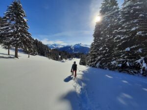 Réservation hiver par Bureau Montagne et Nature de Plagne Montchavin les Coches